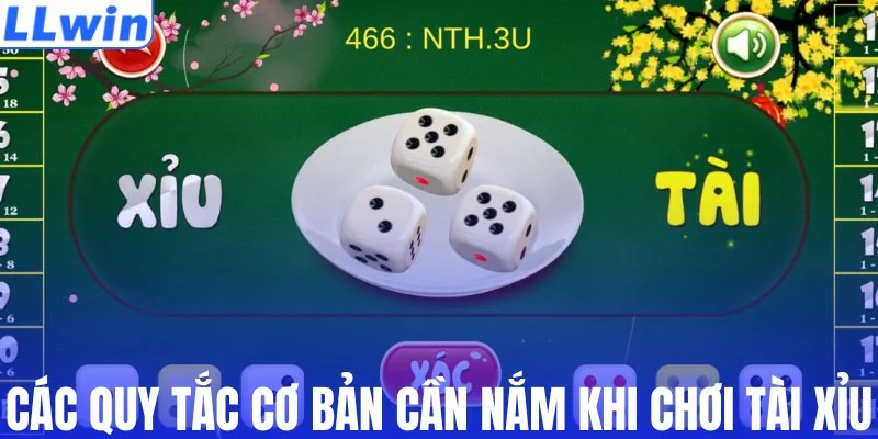 Các quy tắc cơ bản cần nắm khi chơi tài xỉu