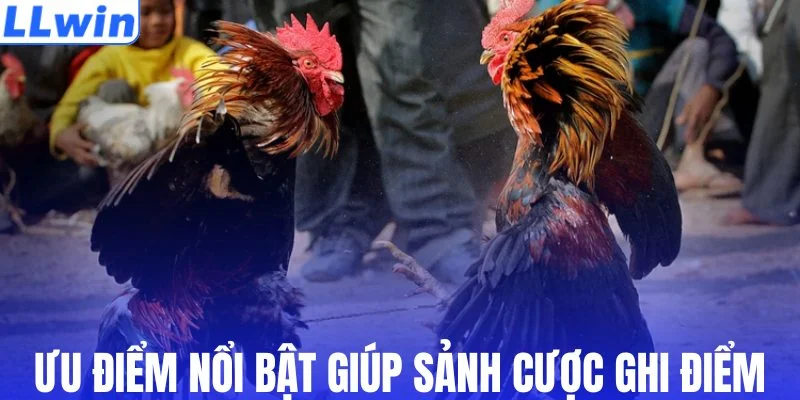 Các ưu điểm nổi bật giúp sảnh cược ghi điểm