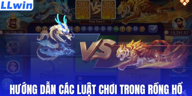 Hướng dẫn chi tiết các luật chơi trong rồng hổ