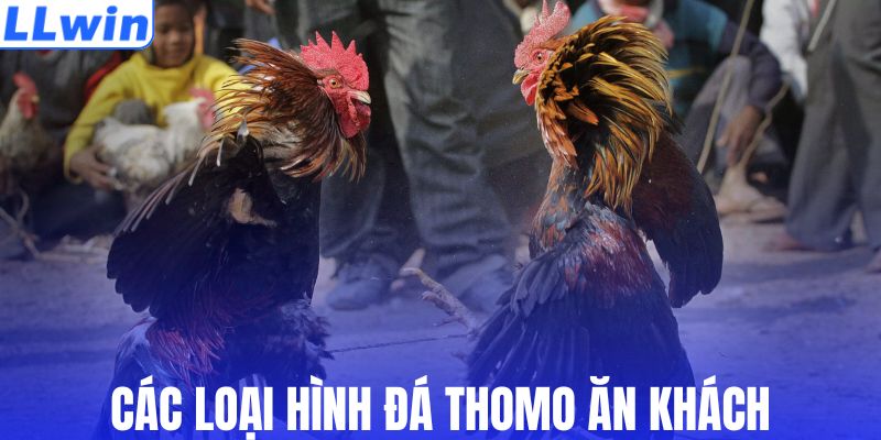 Loại hình đá thomo ăn khách
