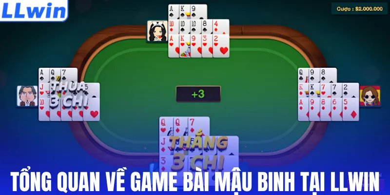 Tổng quan về game bài Mậu Binh tại LLWIN