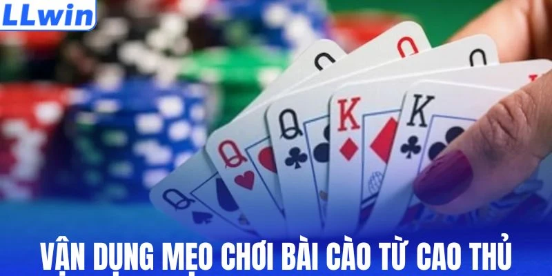 Vận dụng hợp lý các chiến lược đánh bài Cào
