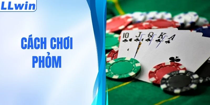 Cách Chơi Phỏm Dễ Hiểu Dành Cho Người Mới Tham Gia