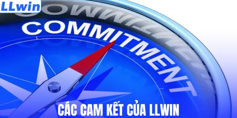 Các cam kết của LLWIN