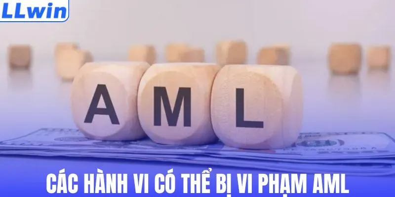 Các hành vi có thể bị vi phạm AML