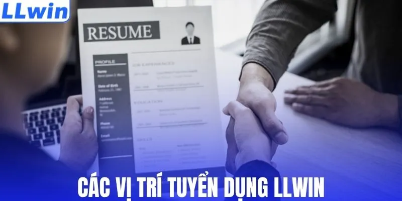Các vị trí tuyển dụng LLWIN