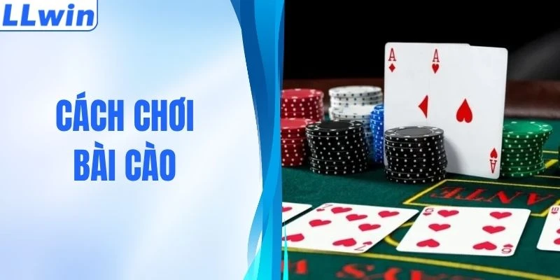 Cách Chơi Bài Cào - Thông Tin Thành Viên Cần Biết