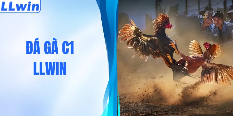 Đá Gà C1 – Điểm Đến Của Những Trận Đấu Online Đỉnh Cao